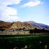 danyar_khaled