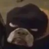 youuuuuuuu_fucker