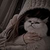 mel_xxii