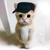 ebra1_