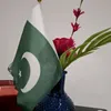 www.pakistan8