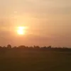 thuanluu79