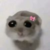 m.jwond3