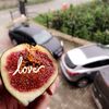 latifa_338