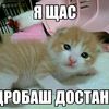 jfjxjxj69