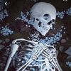 ohnoitsaghoul
