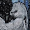 iloveraccoons1234
