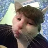 lolskiedibidoo