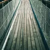trancepanda