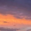 elli_s_s