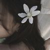 vee_swan