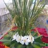 tuy.duyn50
