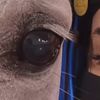 2030_horse