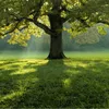 user25102116150144