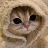 mommynya_abinaya