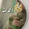 qir53