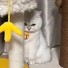 Pet.saller shop