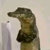 bardo_jyzb