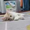 aaaaabla