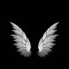 amani.wbs