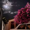 fofo_405
