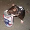 drpeppyfiend
