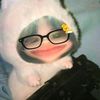 userfiautjoiz0