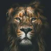 eewwrr11