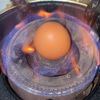 egglover6000