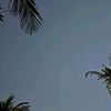 kumayy65