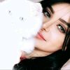 cute66733