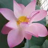 t.thuy20_1