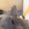 jenniferdoiron8