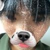 babynacha__