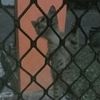 la_jn4