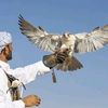 abed_bahaa