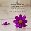 aniq__334
