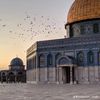 ziad1.77
