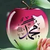 rezaraoufi5