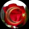 user9306461633784