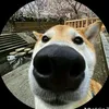 caubebuon.w