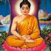 linhnguyen8921