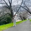 hggcxxd