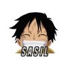 sasil_failed