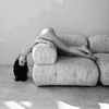 marharyta__kb