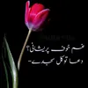 maybeziddi_02
