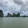 phongld0