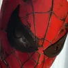 sthestspider