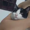 dangqhuy98