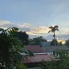 12356yy
